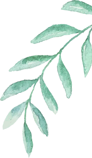 leaf icon