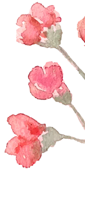 flower image